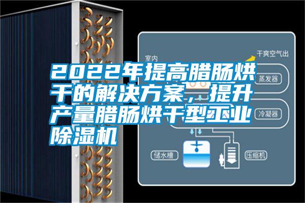 2022年提高臘腸烘干的解決方案，提升產(chǎn)量臘腸烘干型工業(yè)除濕機(jī)