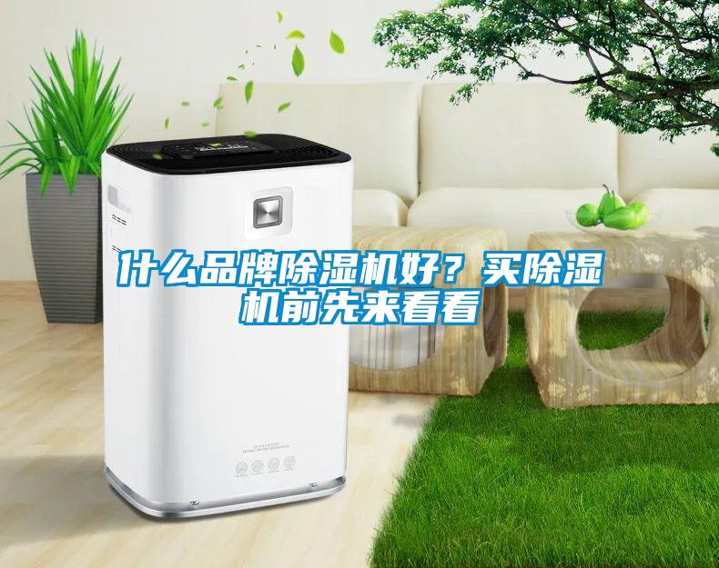 什么品牌除濕機好？買除濕機前先來看看