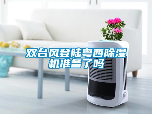 雙臺風(fēng)登陸粵西除濕機準備了嗎