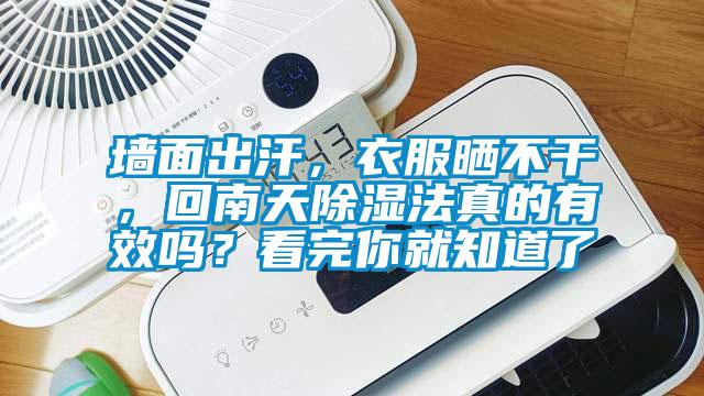 墻面出汗，衣服曬不干，回南天除濕法真的有效嗎？看完你就知道了