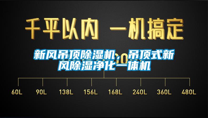 新風吊頂除濕機，吊頂式新風除濕凈化一體機