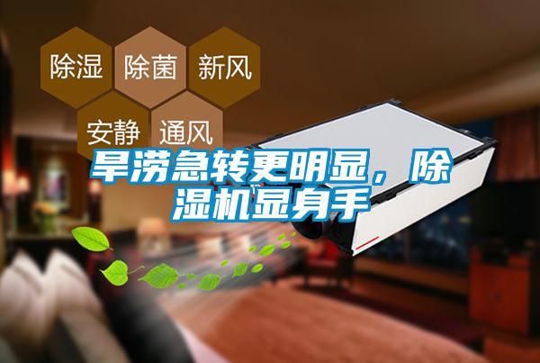 旱澇急轉更明顯，除濕機顯身手