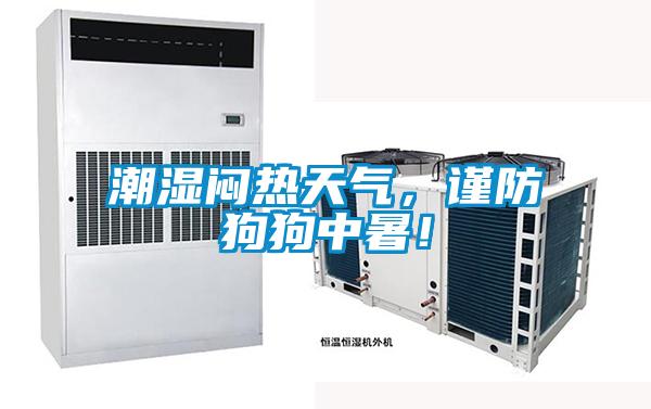 潮濕悶熱天氣，謹(jǐn)防狗狗中暑！