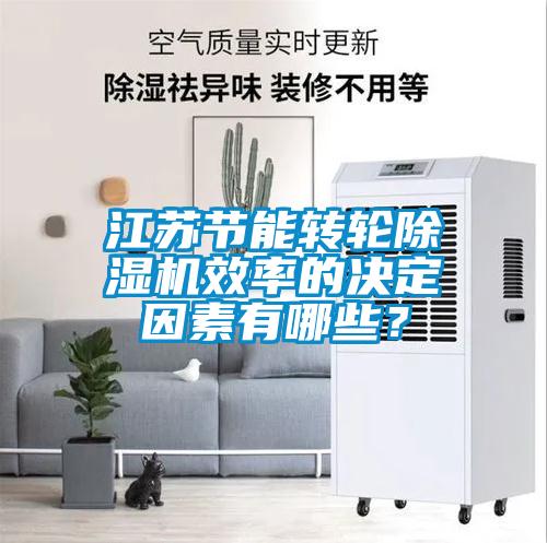江蘇節(jié)能轉(zhuǎn)輪除濕機(jī)效率的決定因素有哪些？