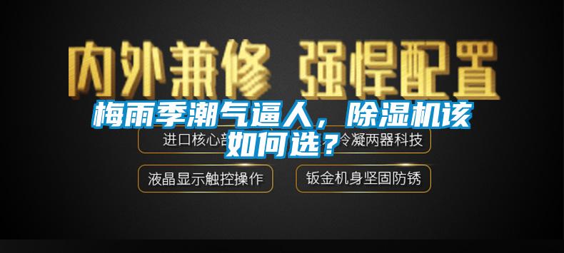 梅雨季潮氣逼人，除濕機(jī)該如何選？