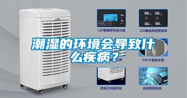 潮濕的環(huán)境會導致什么疾?。?/></p>
						    <p style=