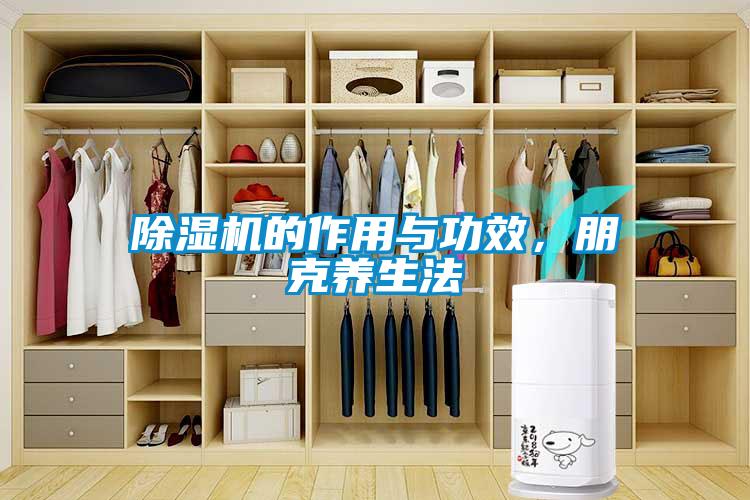 除濕機的作用與功效，朋克養(yǎng)生法