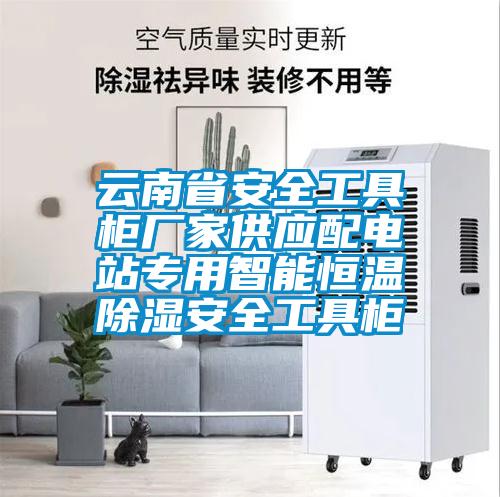 云南省安全工具柜廠家供應(yīng)配電站專用智能恒溫除濕安全工具柜