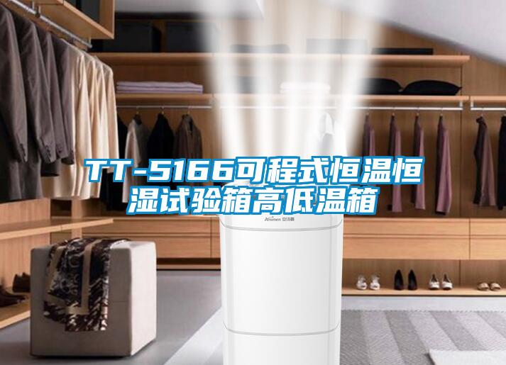 TT-5166可程式恒溫恒濕試驗(yàn)箱高低溫箱