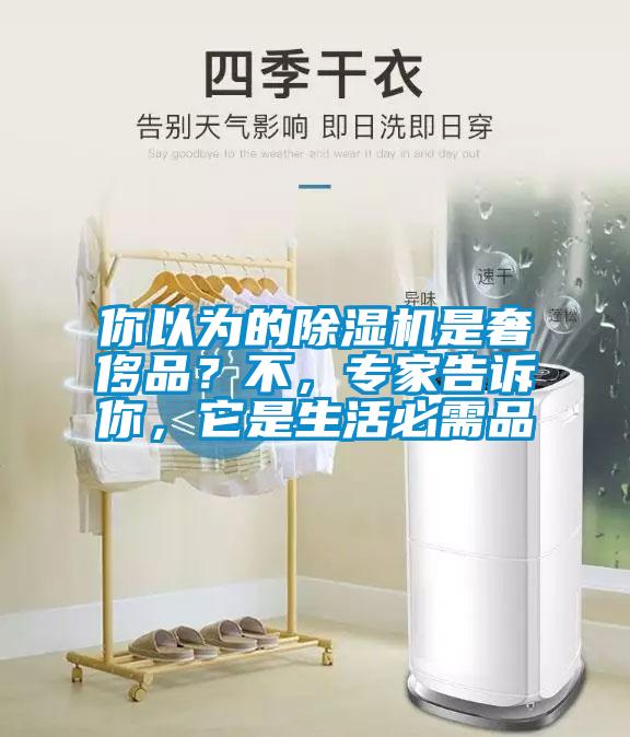 你以為的除濕機(jī)是奢侈品？不，專家告訴你，它是生活必需品