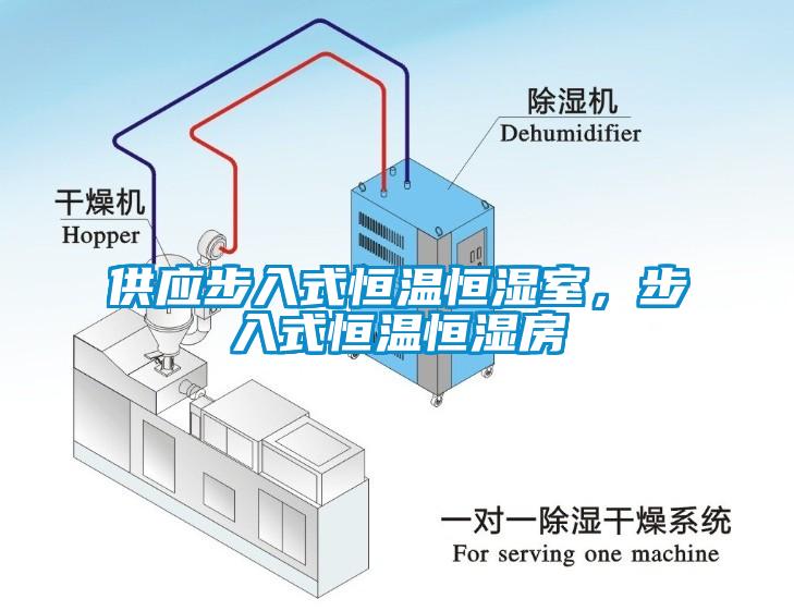 供應(yīng)步入式恒溫恒濕室，步入式恒溫恒濕房