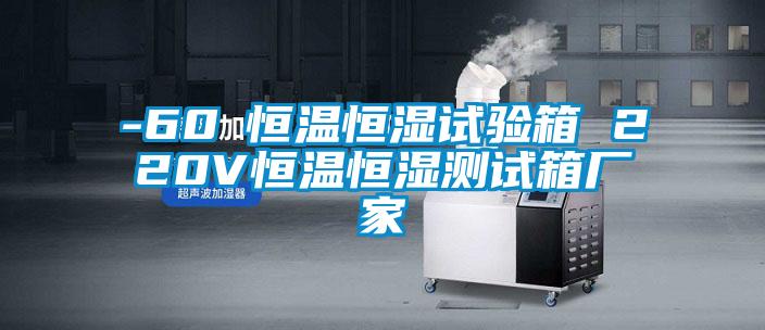 -60℃恒溫恒濕試驗(yàn)箱 220V恒溫恒濕測(cè)試箱廠家