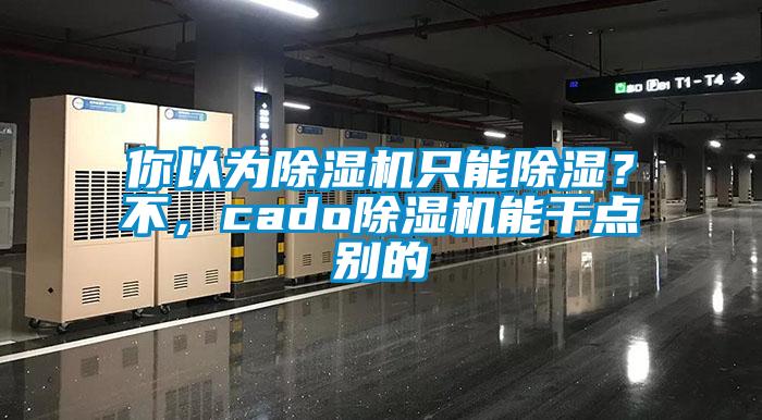 你以為除濕機只能除濕？不，cado除濕機能干點別的