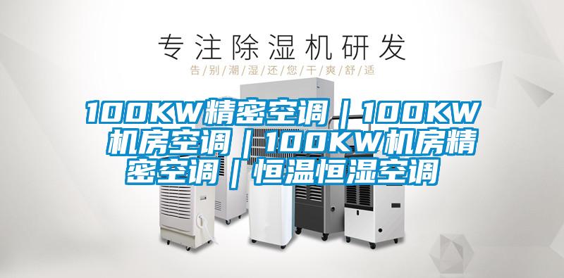 100KW精密空調(diào)｜100KW 機房空調(diào)｜100KW機房精密空調(diào)｜恒溫恒濕空調(diào)