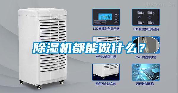 除濕機(jī)都能做什么？