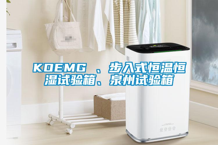 KOEMG 、步入式恒溫恒濕試驗箱、泉州試驗箱