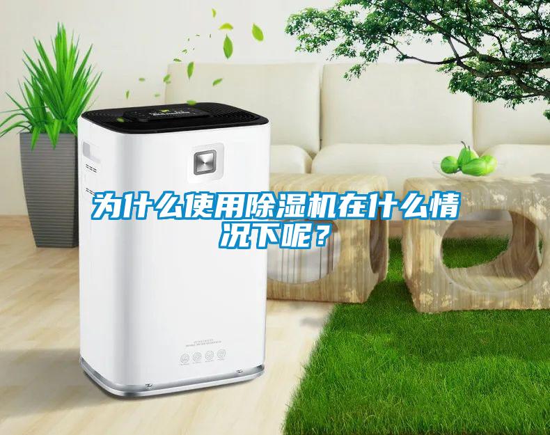 為什么使用除濕機(jī)在什么情況下呢？