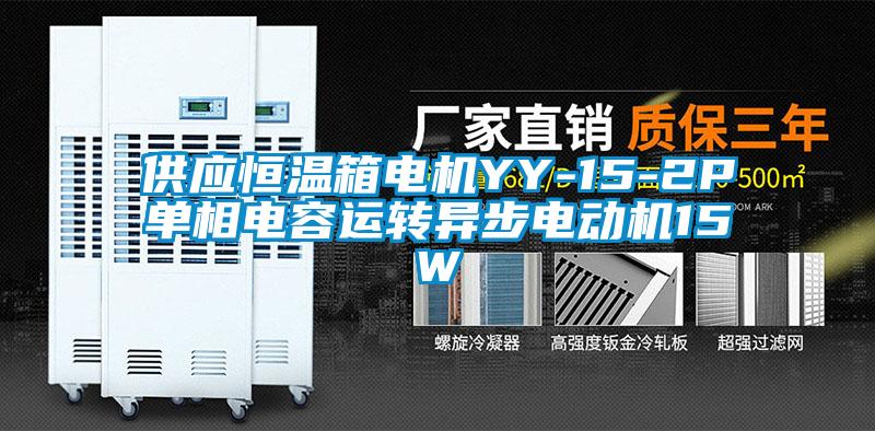 供應(yīng)恒溫箱電機YY-15-2P單相電容運轉(zhuǎn)異步電動機15W