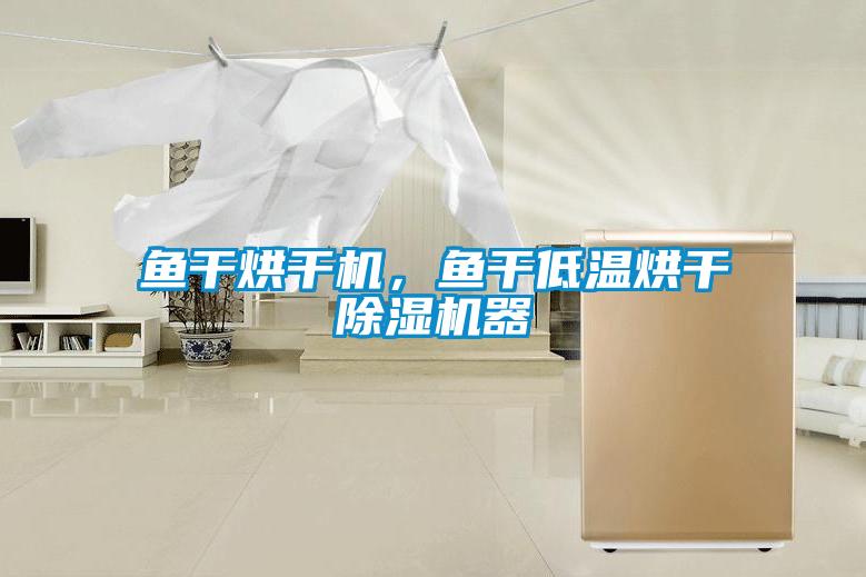 魚干烘干機，魚干低溫烘干除濕機器