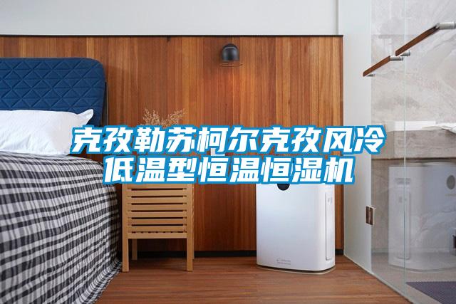 克孜勒蘇柯爾克孜風(fēng)冷低溫型恒溫恒濕機