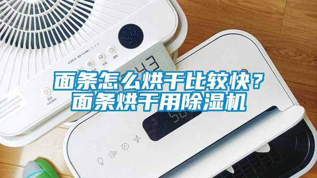 面條怎么烘干比較快？面條烘干用除濕機(jī)