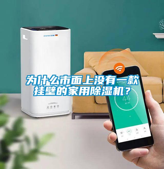 為什么市面上沒有一款掛壁的家用除濕機？