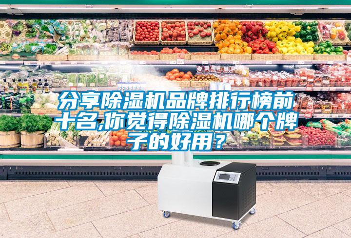 分享除濕機品牌排行榜前十名,你覺得除濕機哪個牌子的好用？