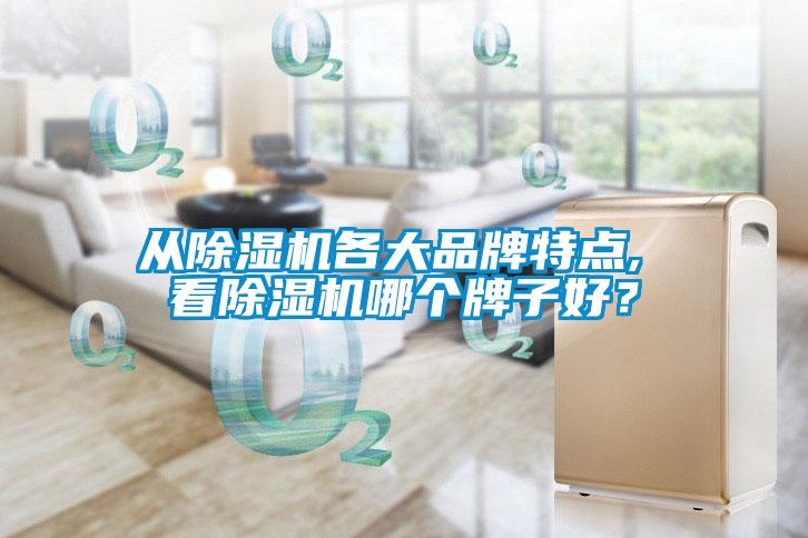 從除濕機各大品牌特點, 看除濕機哪個牌子好？
