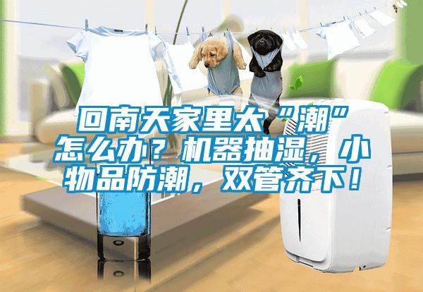 回南天家里太“潮”怎么辦？機(jī)器抽濕，小物品防潮，雙管齊下！