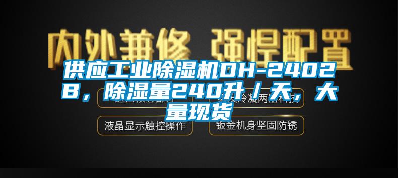 供應(yīng)工業(yè)除濕機(jī)DH-2402B，除濕量240升／天，大量現(xiàn)貨