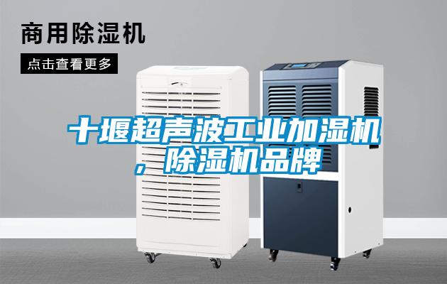 十堰超聲波工業(yè)加濕機(jī)，除濕機(jī)品牌