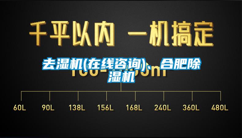 去濕機(jī)(在線咨詢)、合肥除濕機(jī)