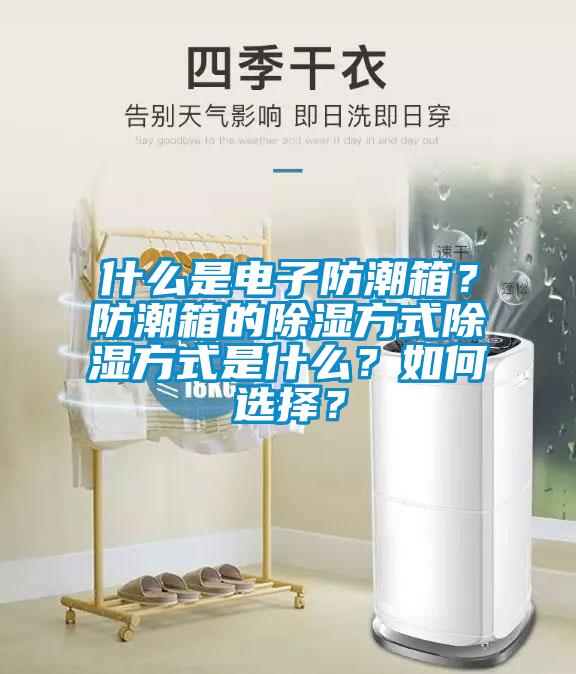 什么是電子防潮箱？防潮箱的除濕方式除濕方式是什么？如何選擇？