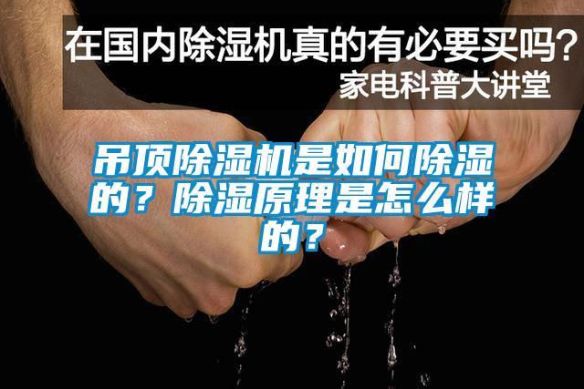 吊頂除濕機(jī)是如何除濕的？除濕原理是怎么樣的？