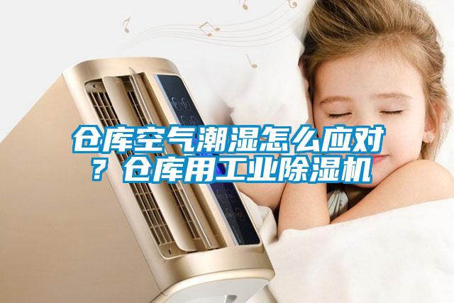 倉庫空氣潮濕怎么應對？倉庫用工業(yè)除濕機