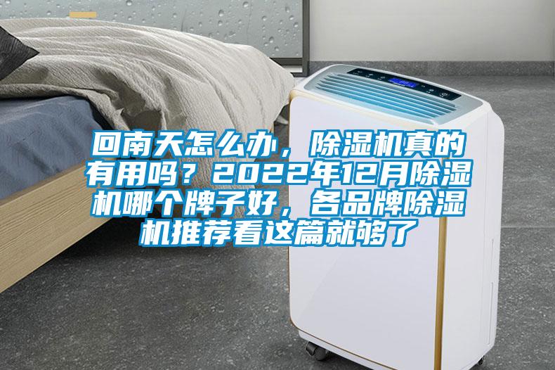 回南天怎么辦，除濕機真的有用嗎？2022年12月除濕機哪個牌子好，各品牌除濕機推薦看這篇就夠了