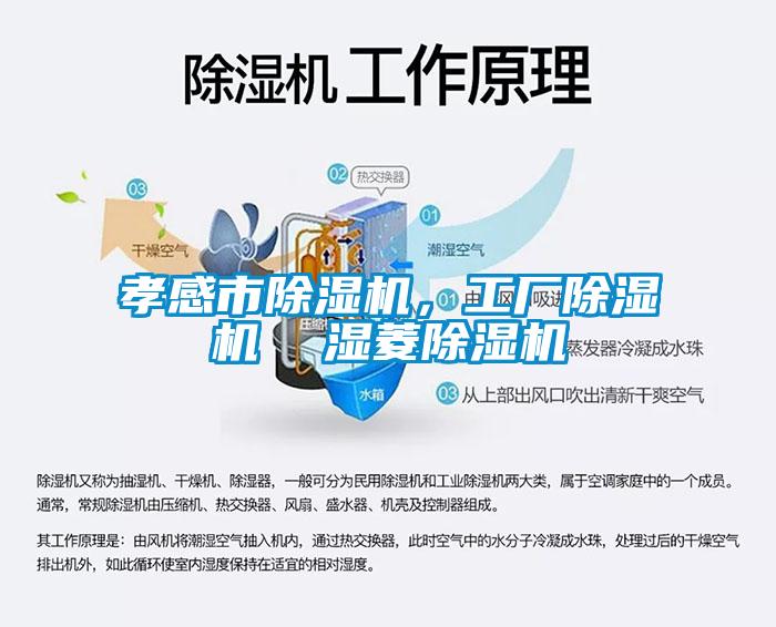 孝感市除濕機，工廠除濕機  濕菱除濕機