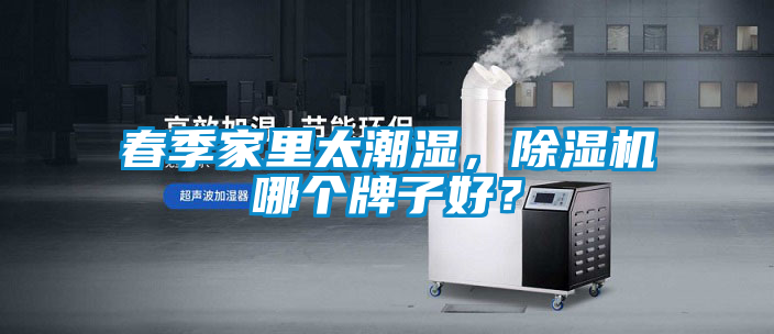 春季家里太潮濕，除濕機哪個牌子好？