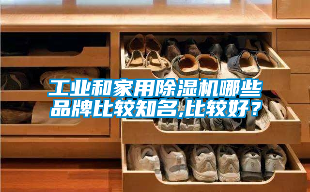 工業(yè)和家用除濕機哪些品牌比較知名,比較好？