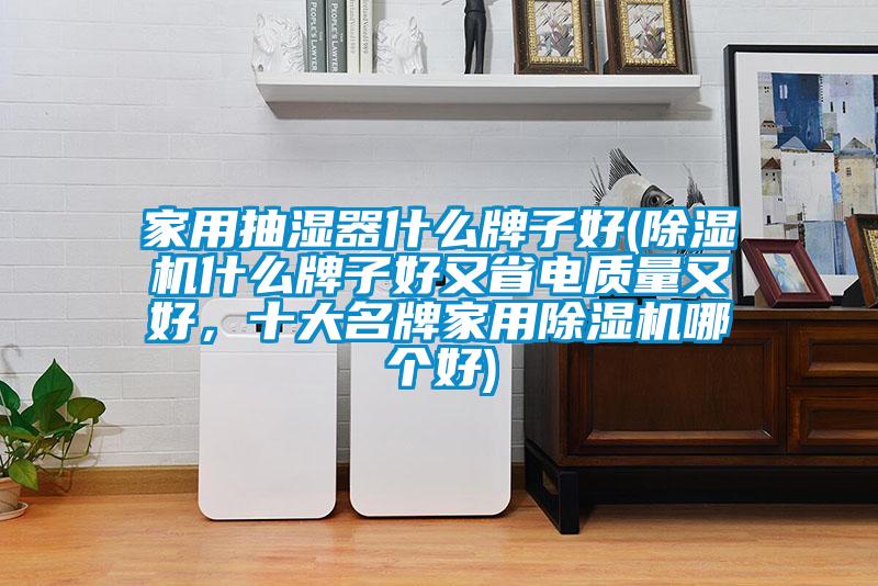 家用抽濕器什么牌子好(除濕機(jī)什么牌子好又省電質(zhì)量又好，十大名牌家用除濕機(jī)哪個(gè)好)