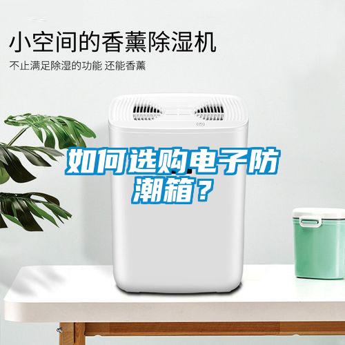 如何選購電子防潮箱？