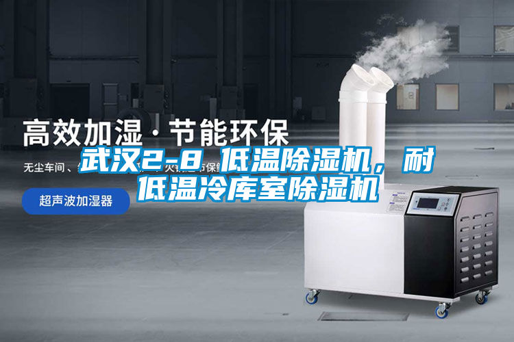 武漢2-8℃低溫除濕機，耐低溫冷庫室除濕機