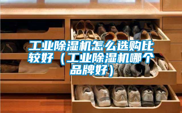 工業(yè)除濕機怎么選購比較好（工業(yè)除濕機哪個品牌好）