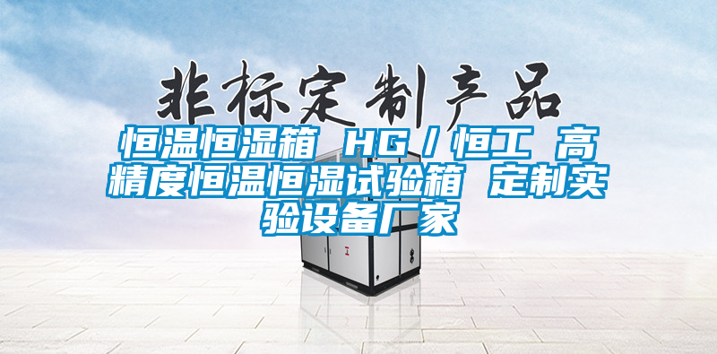 恒溫恒濕箱 HG／恒工 高精度恒溫恒濕試驗箱 定制實驗設(shè)備廠家