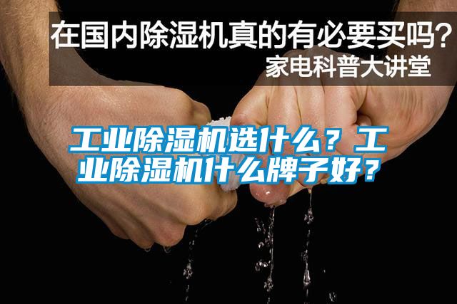 工業(yè)除濕機(jī)選什么？工業(yè)除濕機(jī)什么牌子好？