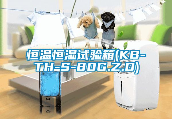 恒溫恒濕試驗箱(KB-TH-S-80G.Z.D)