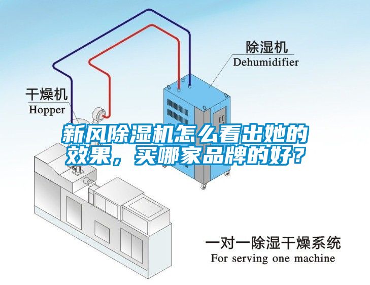 新風除濕機怎么看出她的效果，買哪家品牌的好？