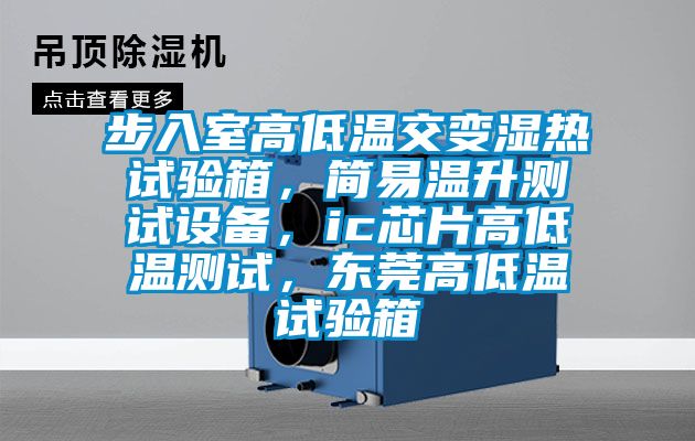 步入室高低溫交變濕熱試驗箱，簡易溫升測試設(shè)備，ic芯片高低溫測試，東莞高低溫試驗箱