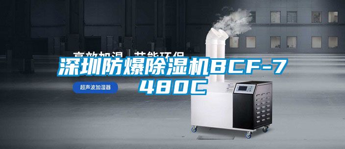 深圳防爆除濕機(jī)BCF-7480C