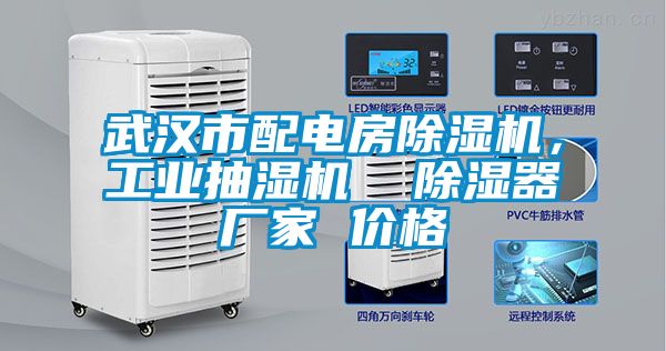 武漢市配電房除濕機(jī)，工業(yè)抽濕機(jī)  除濕器廠家 價格